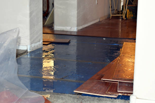 Professional Burst Pipe Cleanup technician working in Pine Island, TX